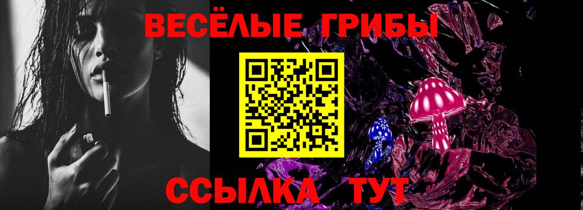 Марихуана Хасавюрт